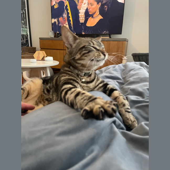 Photo of Little Miss & Yoyo