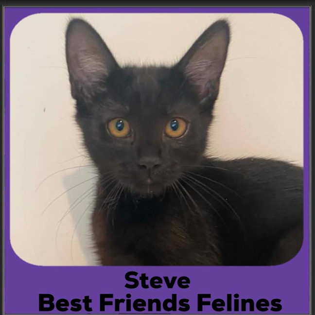 Photo of Steve 
