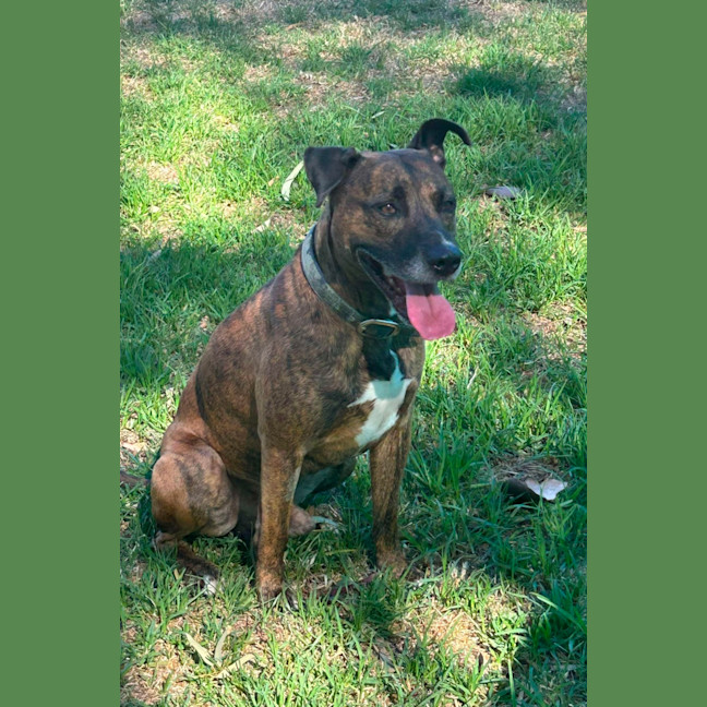 Photo of 🛶 Laszlo 5824 🛶