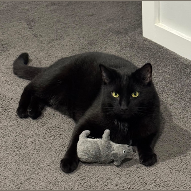 Photo of Otis