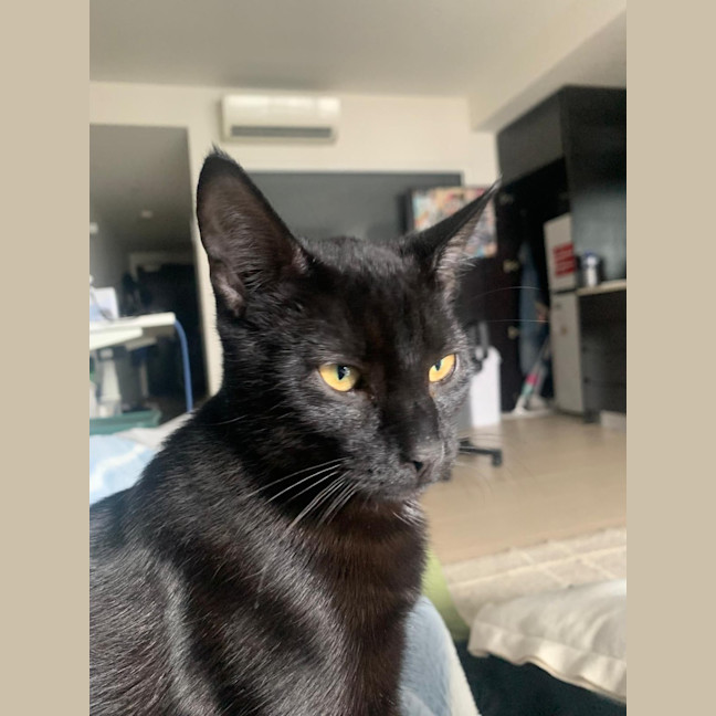 Photo of Jonah