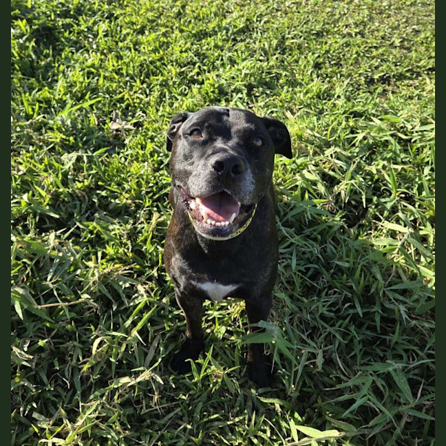 Photo of Ace