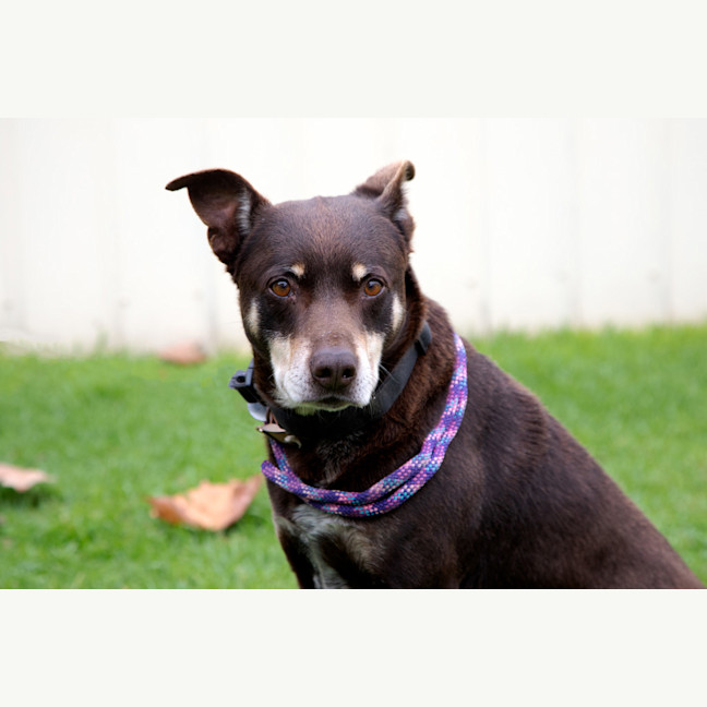 Photo of Monty