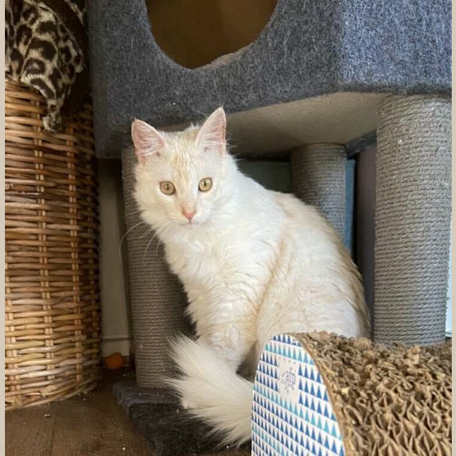 Photo of Mr Wimberley 