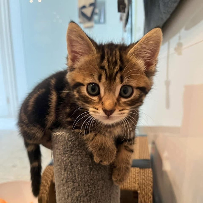 Photo of 11556   Eddie 