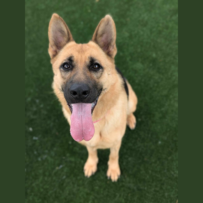 Photo of Gabrielle Imp 2805