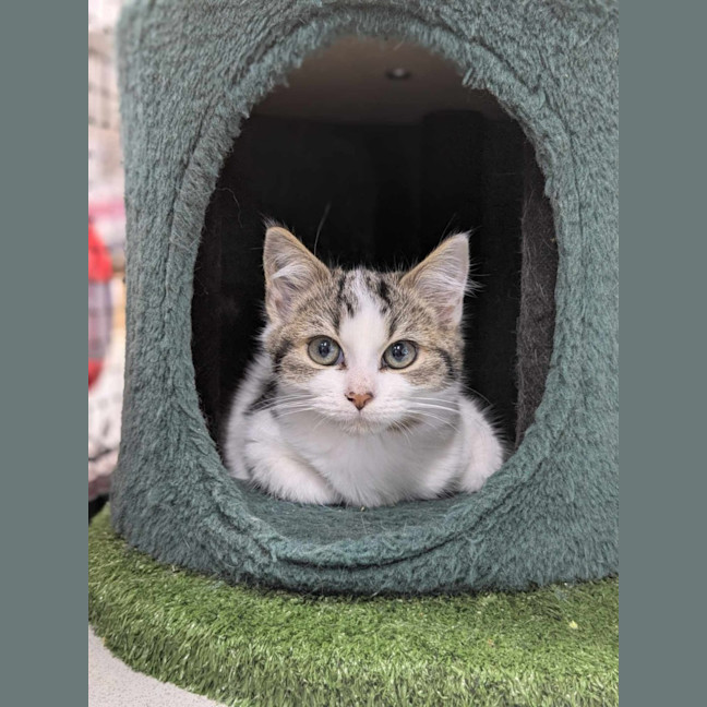 Photo of 🧵 Fyfe 6049 🧵