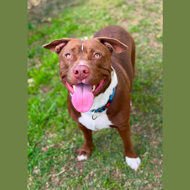 Photo of Zeus