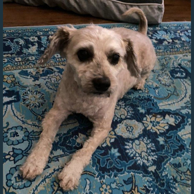 Photo of Angie And Naki Lozano