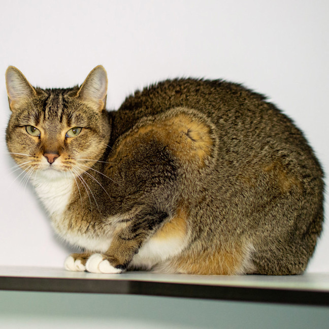 Photo of Silvie
