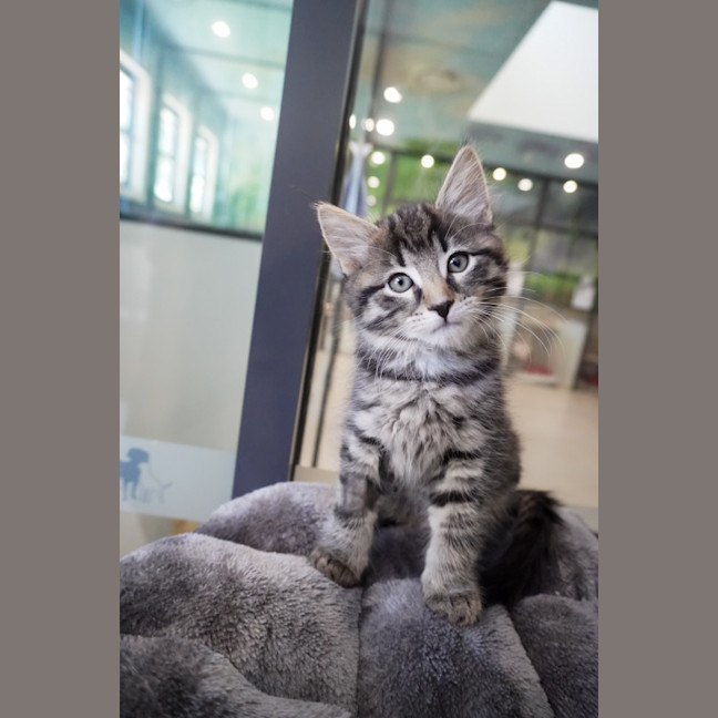 Photo of Munchie