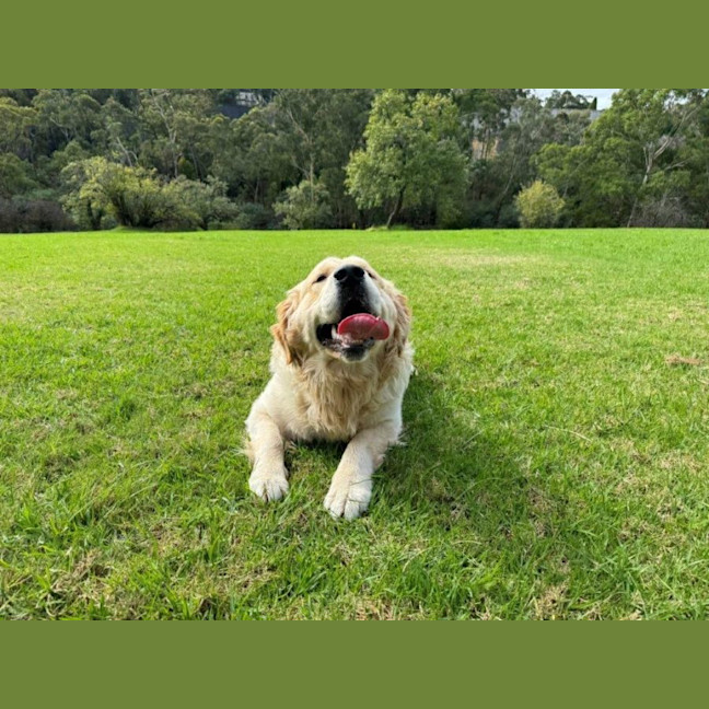 Photo of Sarrh Falko 