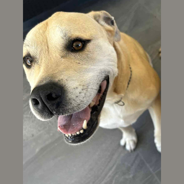 Photo of Cognac And Teddy