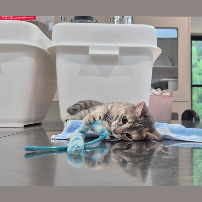 Photo of Rain (8959)