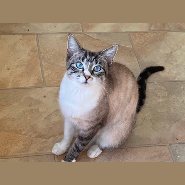 Photo of Missy
