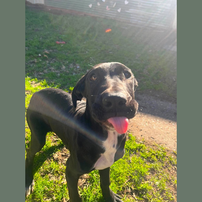 Photo of Zephyr
