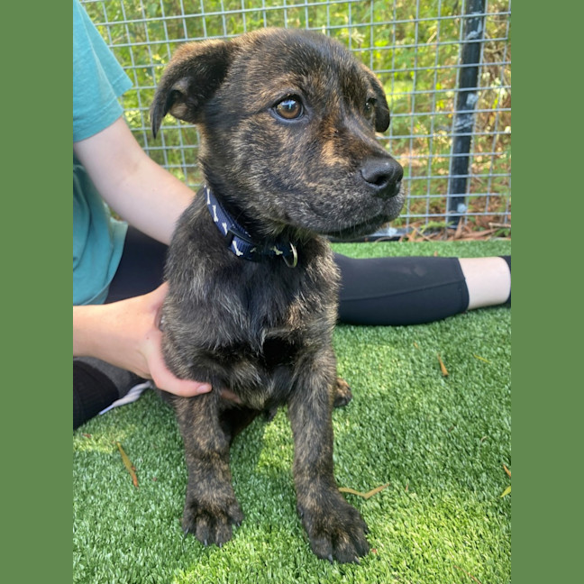 Photo of D1061 Prince