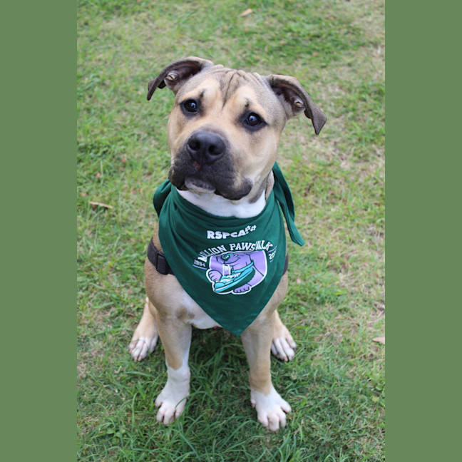 Photo of Tank