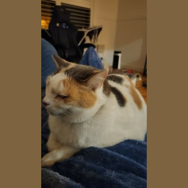 Photo of Millie
