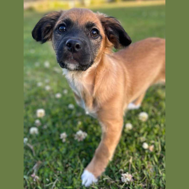 Photo of Maggie