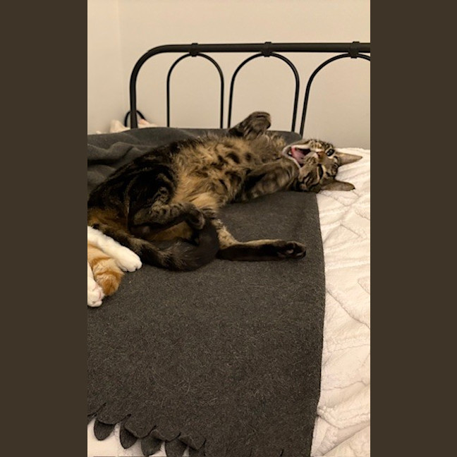 Photo of Luna