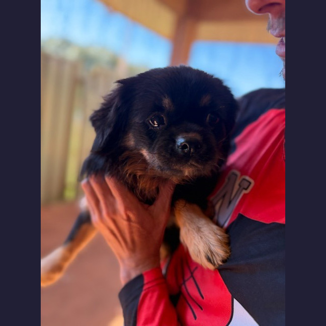 Photo of Kiki