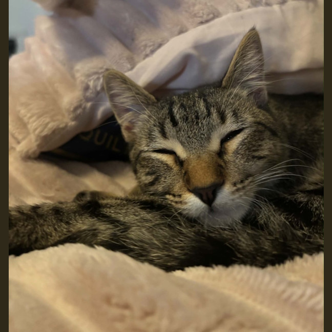 Photo of Simon