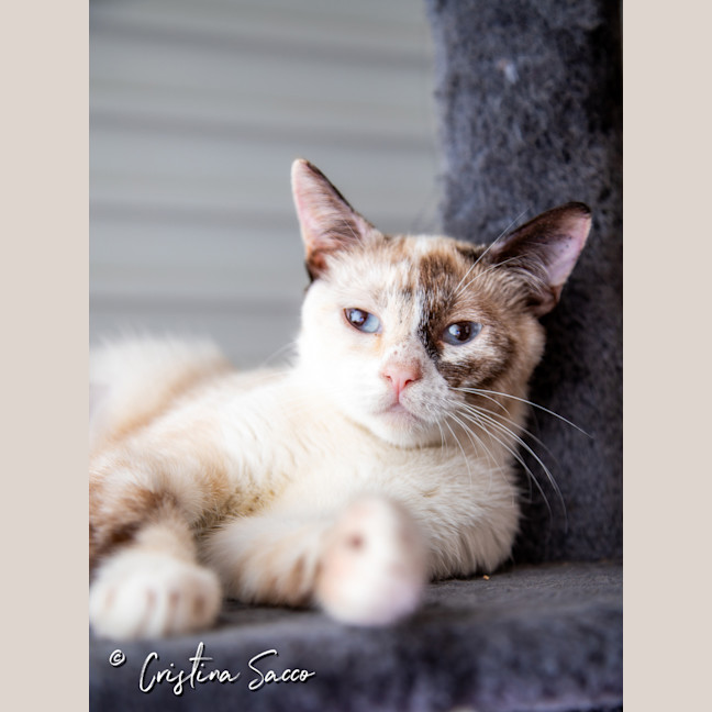 Photo of Chloe