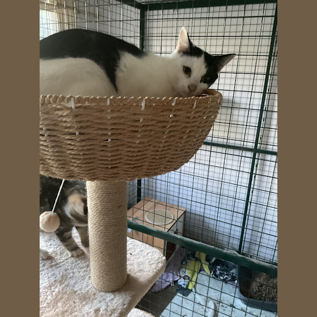 Photo of Matilda