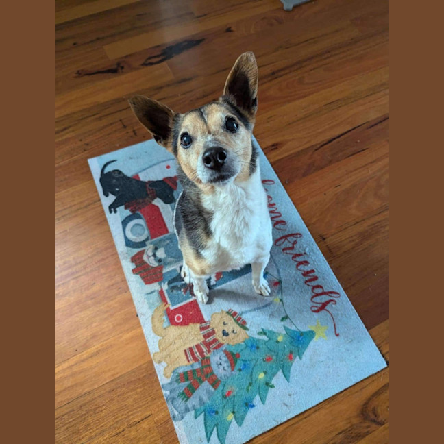 Photo of Milo