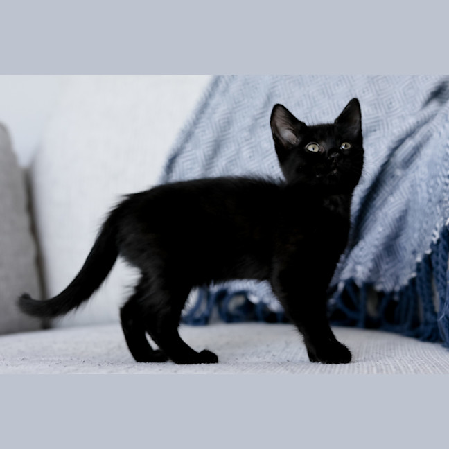 Photo of Wednesday