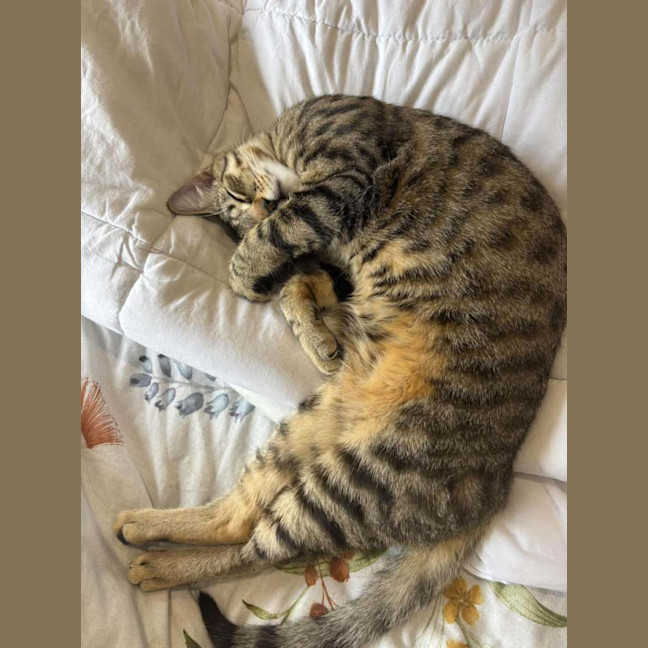 Photo of Hunter