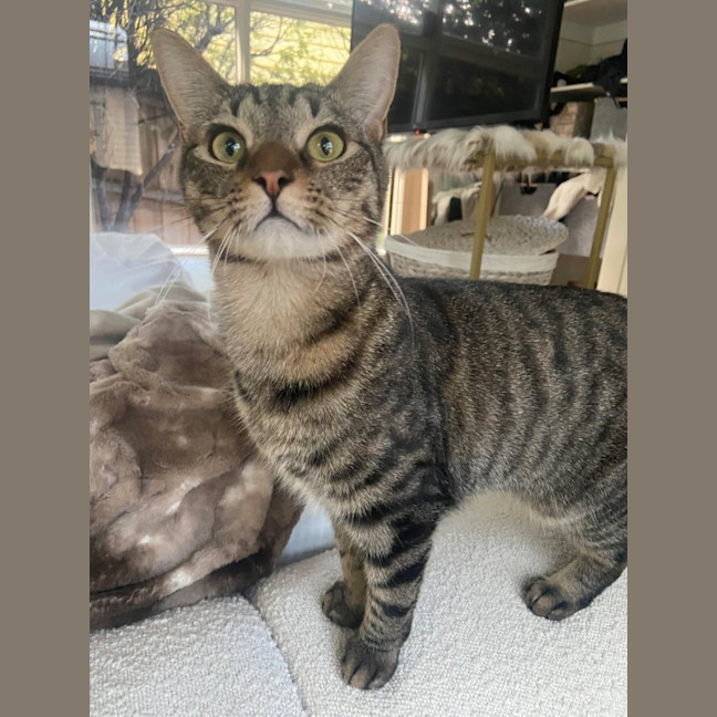 Photo of Mr Maple