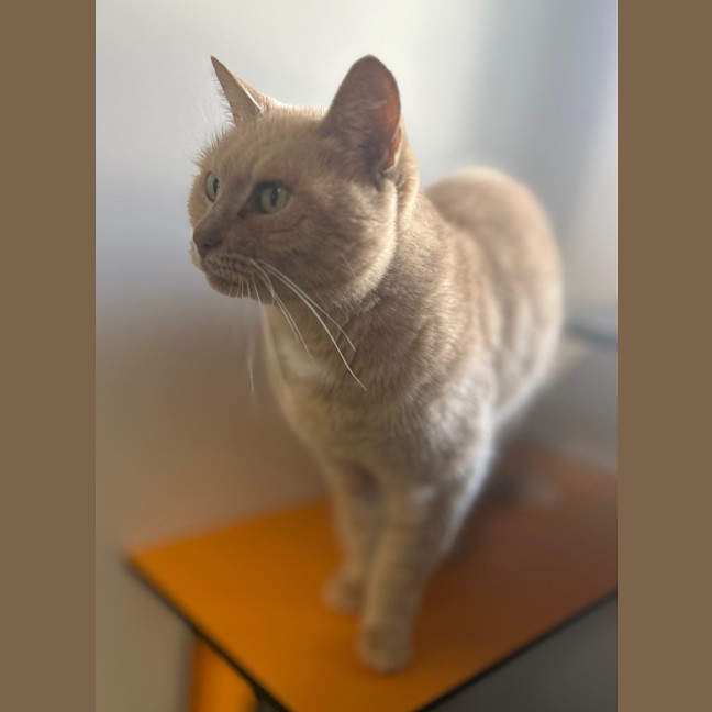 Photo of Pete 