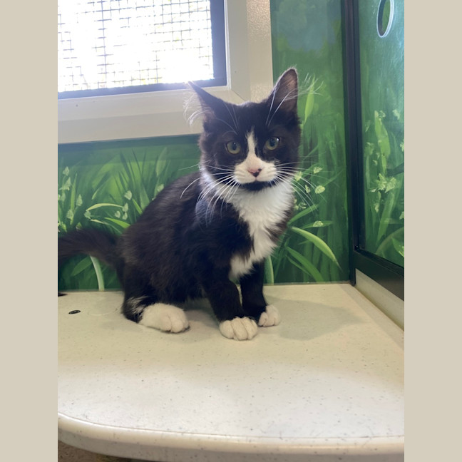 Photo of Bashar Tarr