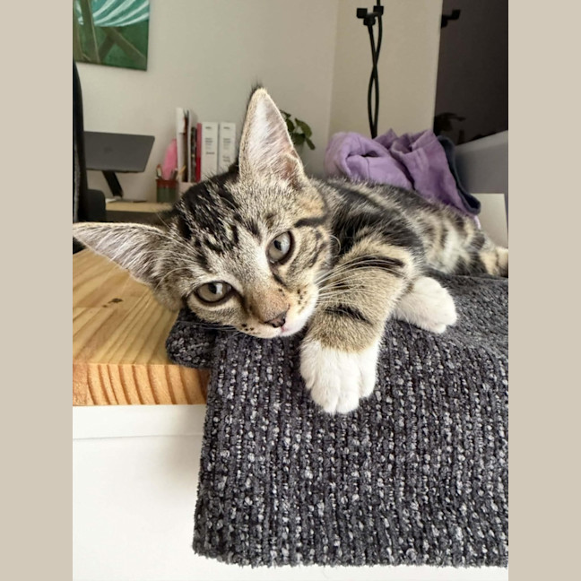 Photo of Tyrone & Miranda