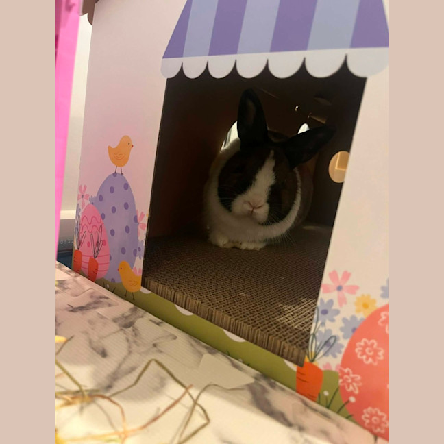 Photo of Octavia