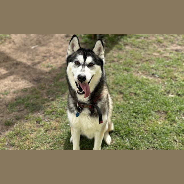 Photo of Bucky