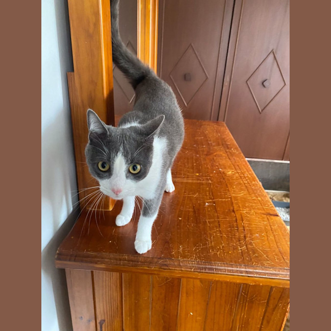Photo of Jasper