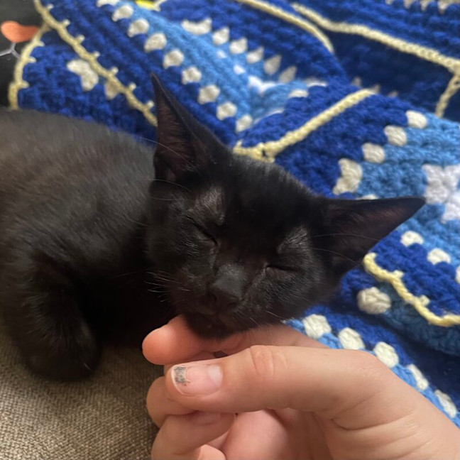 Photo of Junior