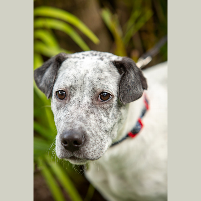 Photo of Bubble