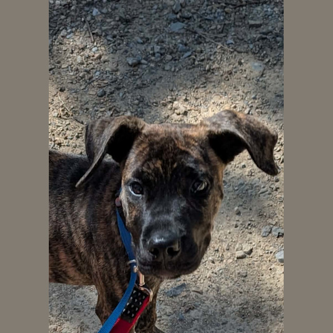 Photo of Hera