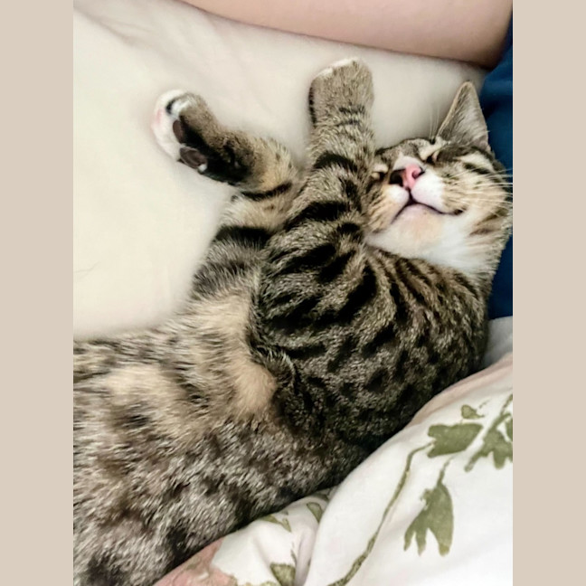 Photo of Conrad & Jeremiah