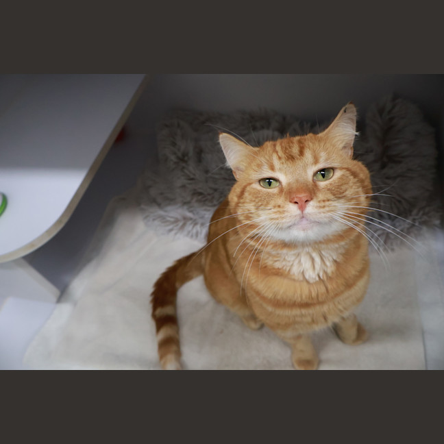 Photo of Ed