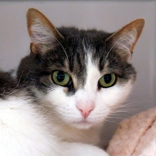 Photo of Kitty Rsua004756