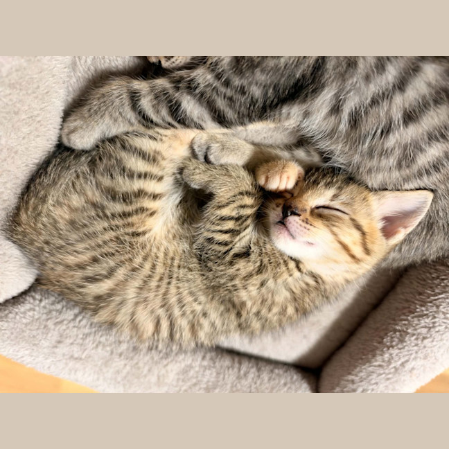 Photo of Mitzi