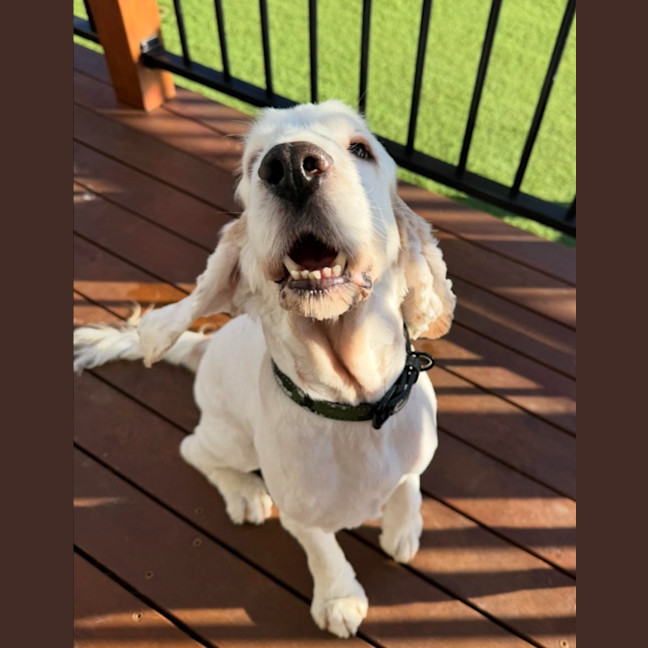 Photo of Calvin