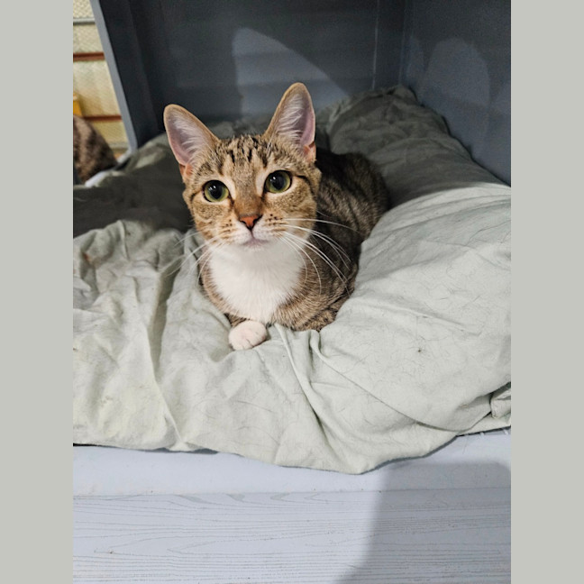 Photo of Leyla
