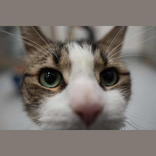 Photo of Byron 