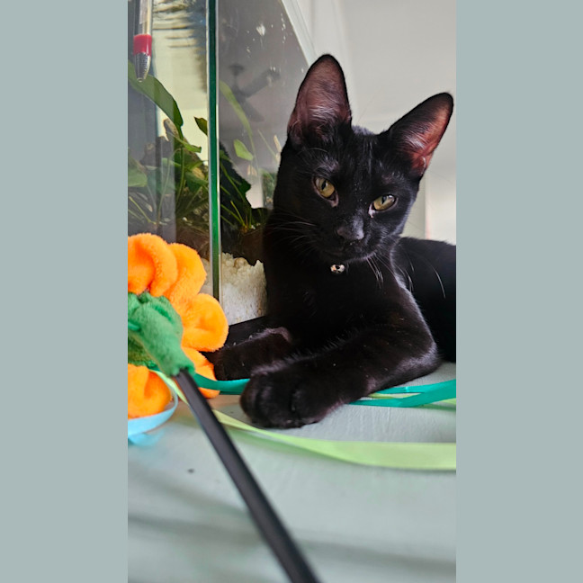 Photo of Molly
